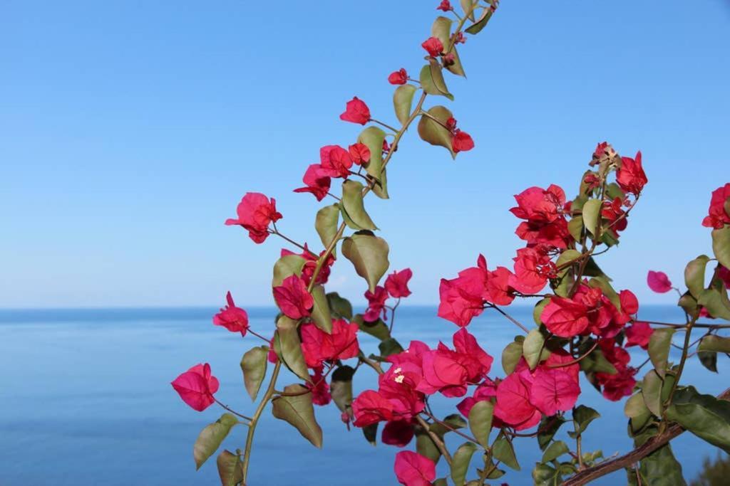 Apartamento Mar Azul Appartement Calheta  Buitenkant foto